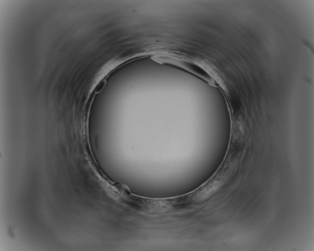 X0000097801101200803281029