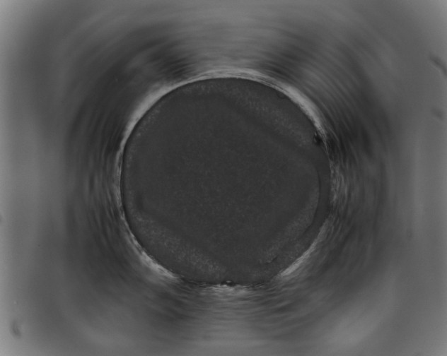 X0000097801102200803281029