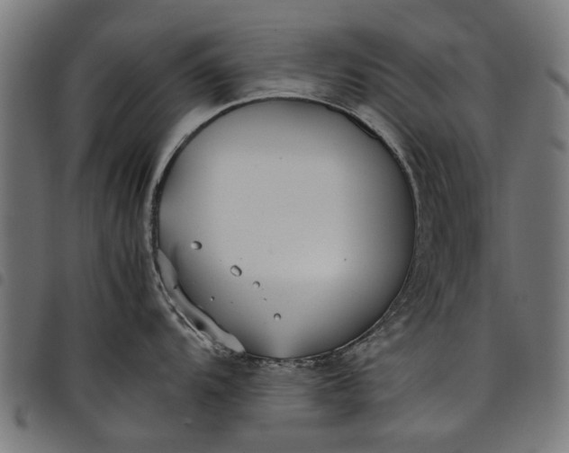 X0000097801104200803281029