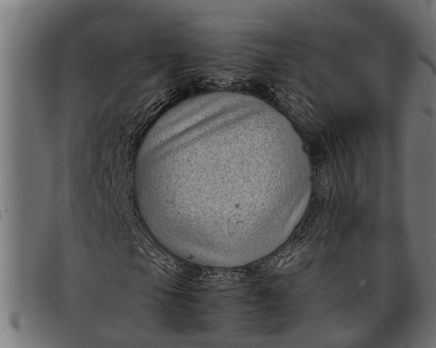 X0000097801105200803281028