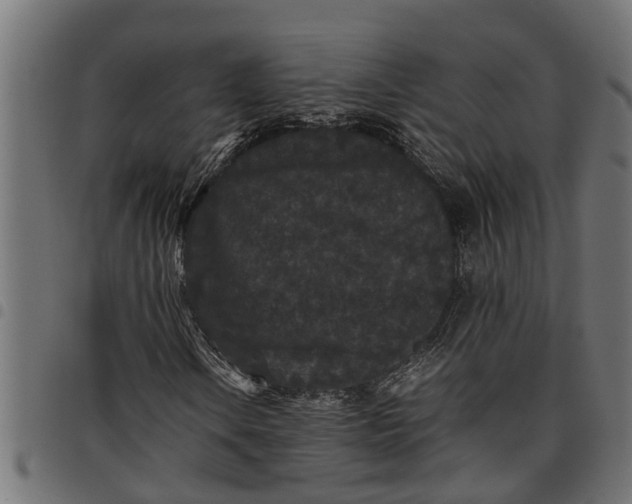 X0000097801106200803281028