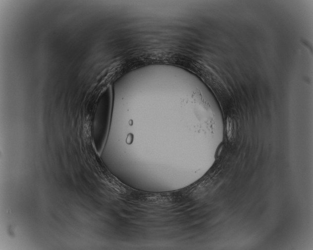 X0000097801107200803281029