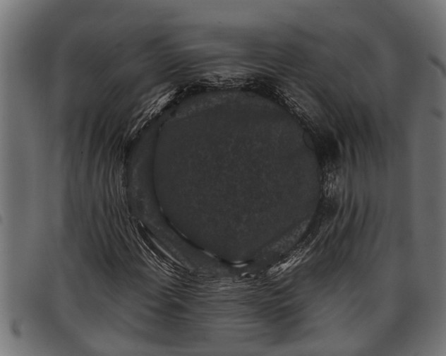 X0000097801108200803281029