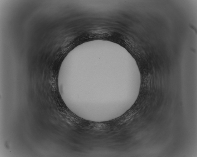 X0000097801109200803281029