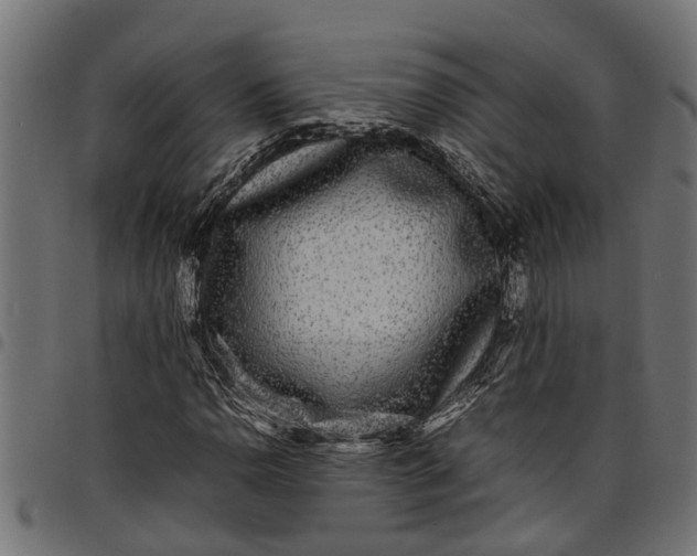 X0000097801110200803281029