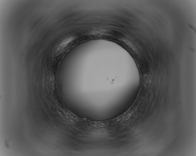 X0000097801111200803281029