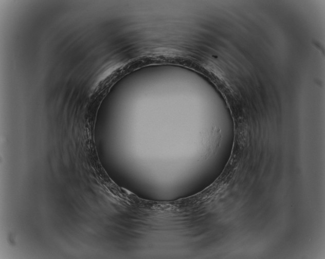 X0000097801112200803281029