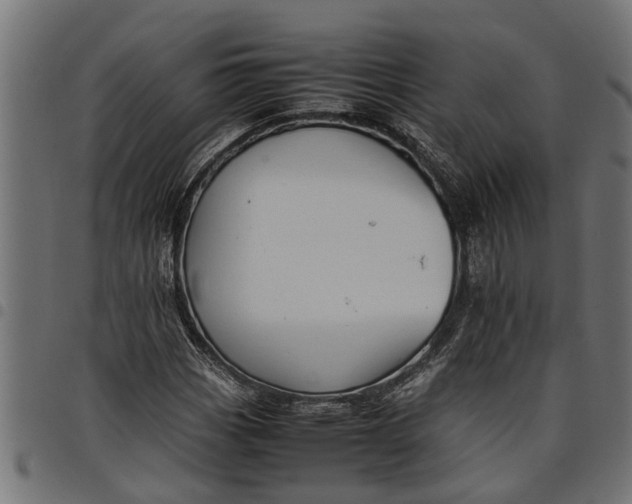 X0000097801113200803281029