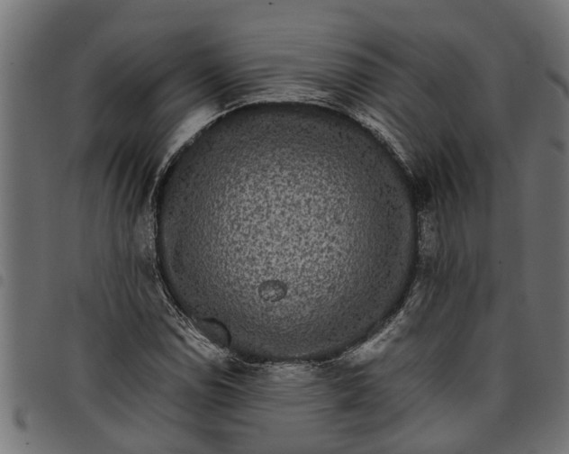 X0000097801114200803281029