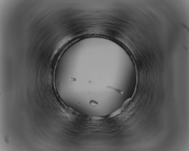 X0000097801115200803281029