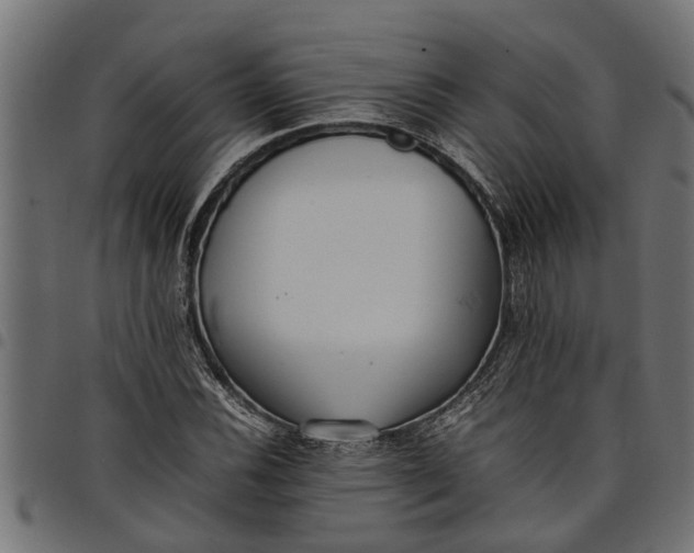 X0000097801116200803281029