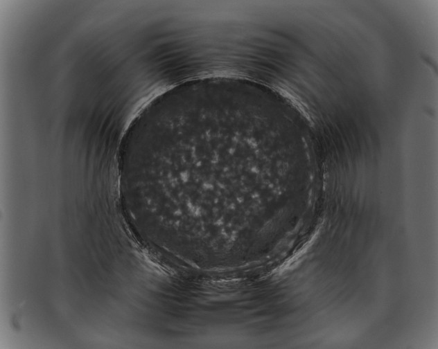 X0000097801117200803281029