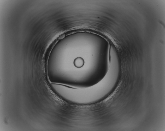 X0000097801118200803281029