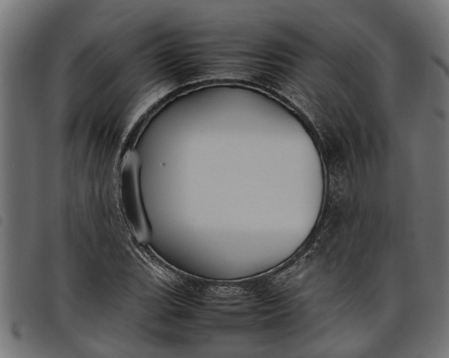 X0000097801119200803281029