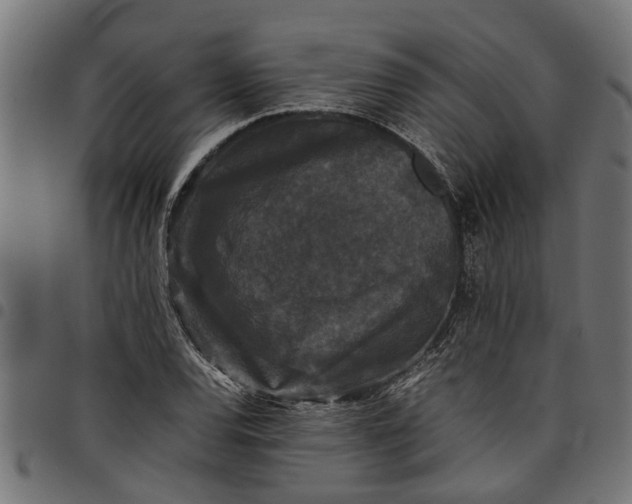 X0000097801120200803281029