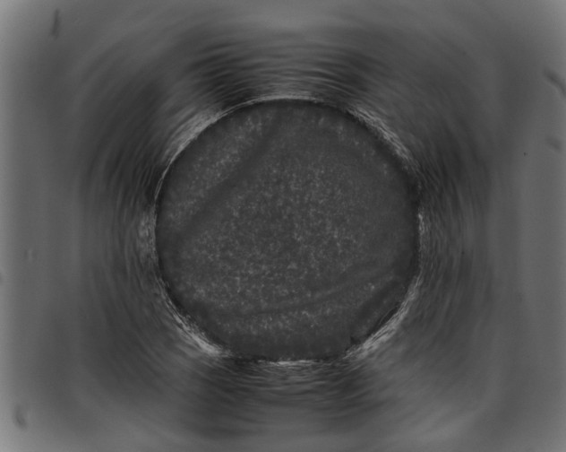 X0000097801121200803281029