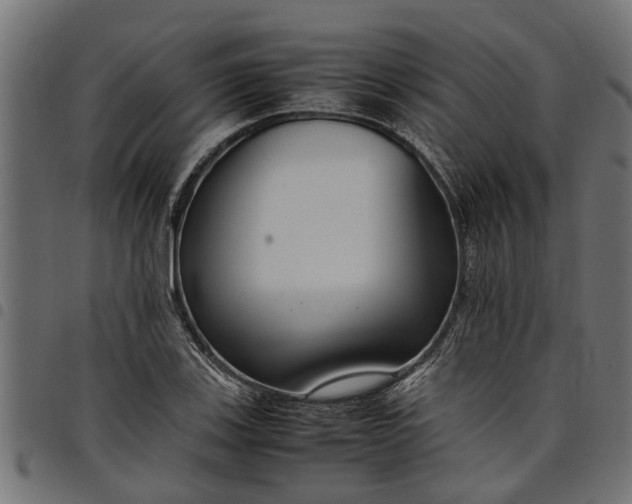 X0000097801123200803281029