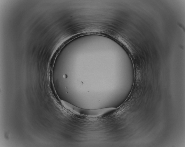 X0000097801124200803281029