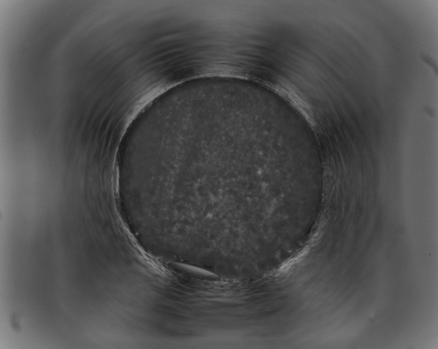 X0000097801125200803281029