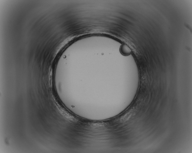 X0000097801126200803281029