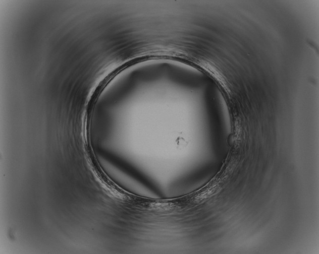 X0000097801128200803281029