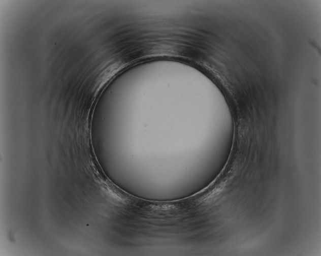 X0000097801129200803281029