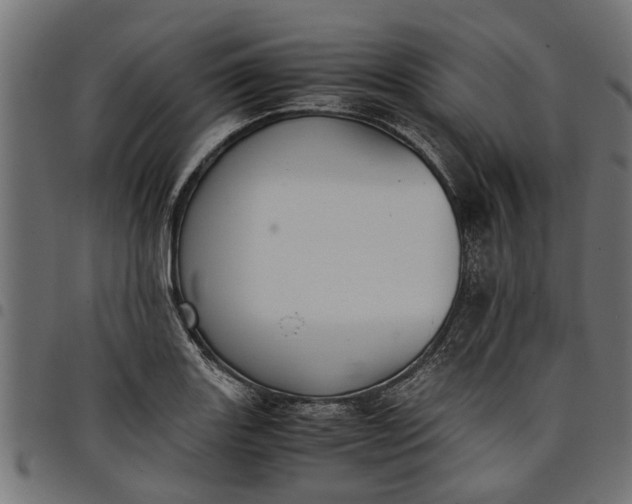 X0000097801131200803281029