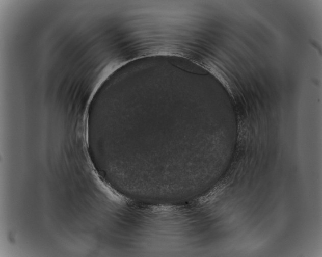 X0000097801132200803281029