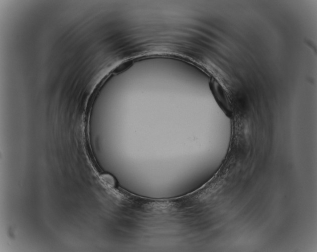 X0000097801134200803281029