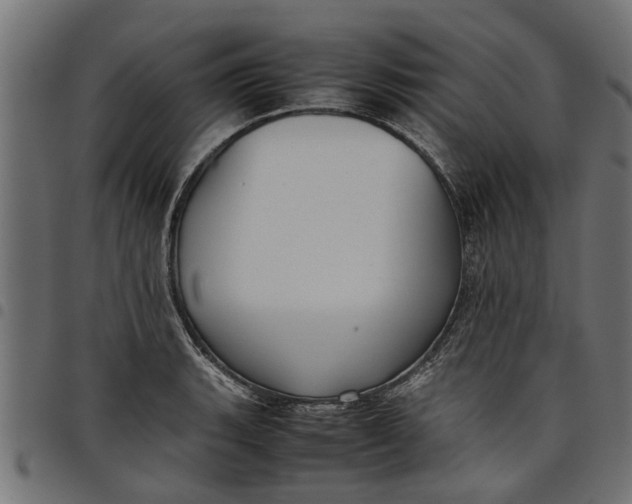 X0000097801135200803281029