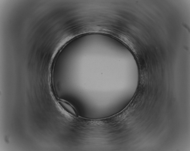 X0000097801136200803281029