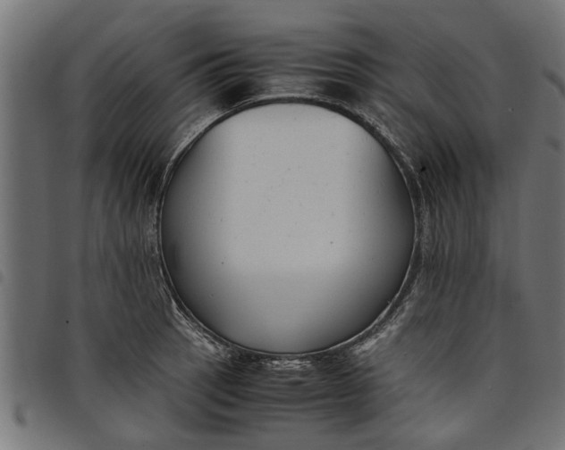 X0000097801137200803281029