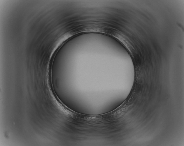 X0000097801139200803281029