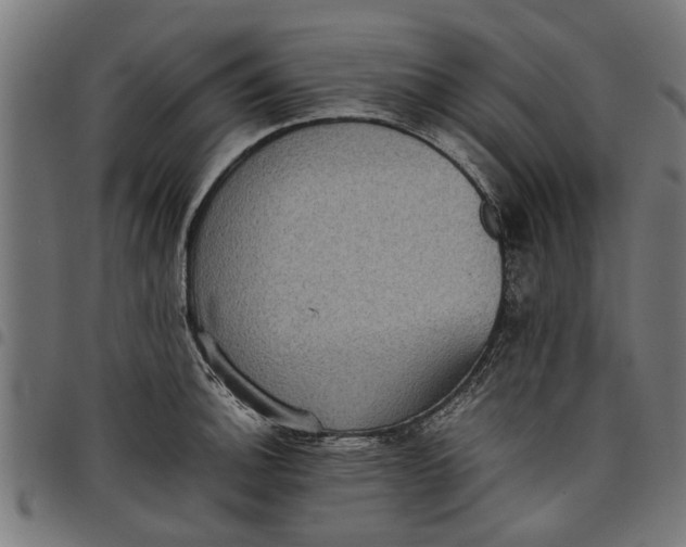 X0000097801140200803281029