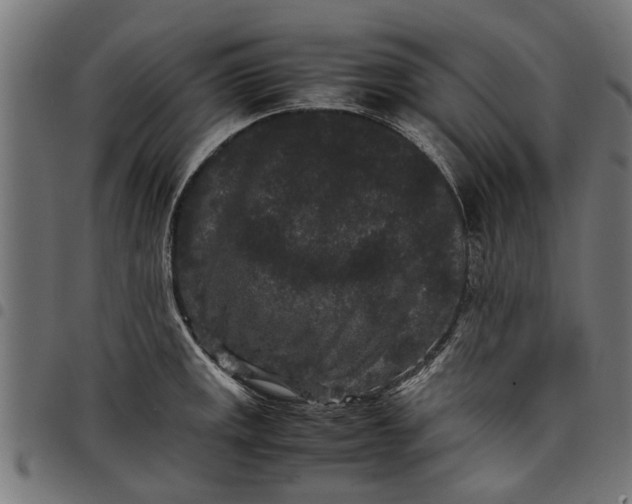 X0000097801141200803281029