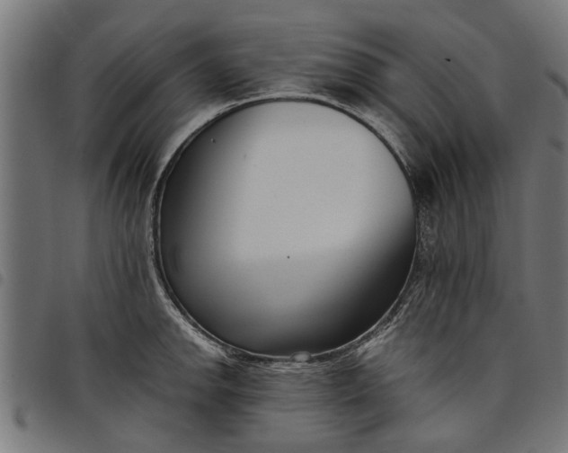 X0000097801142200803281029