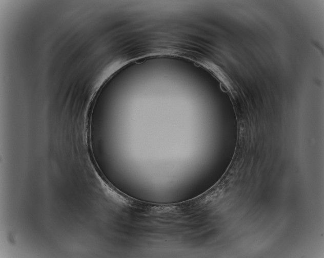 X0000097801143200803281029