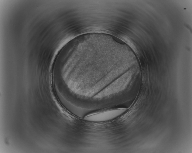 X0000097801144200803281029