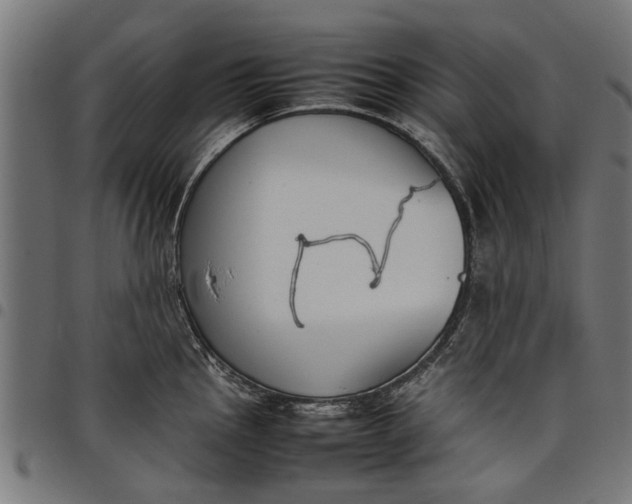 X0000097801145200803281029