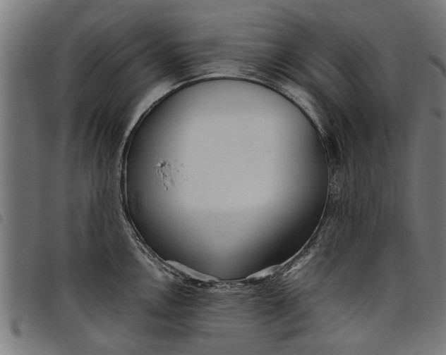 X0000097801146200803281029