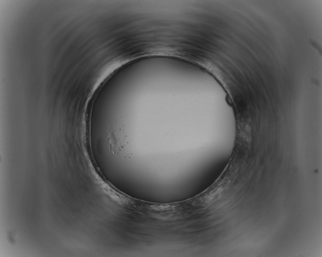 X0000097801147200803281029