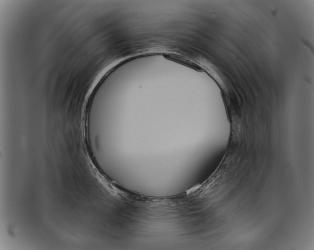 X0000097801148200803281029