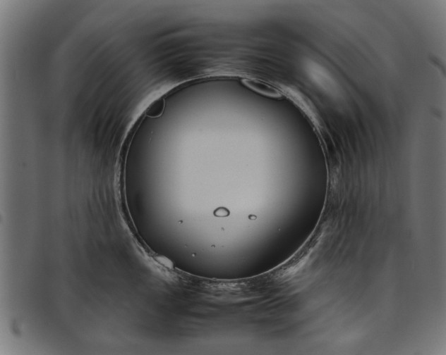 X0000097801149200803281029