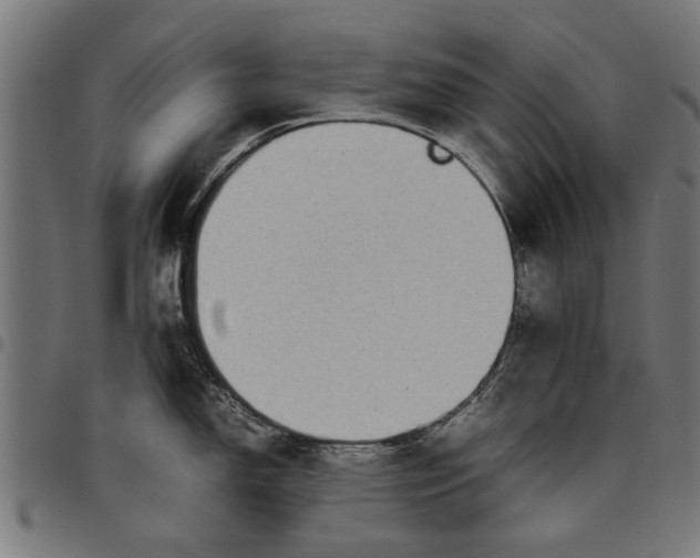 X0000097801150200803281029