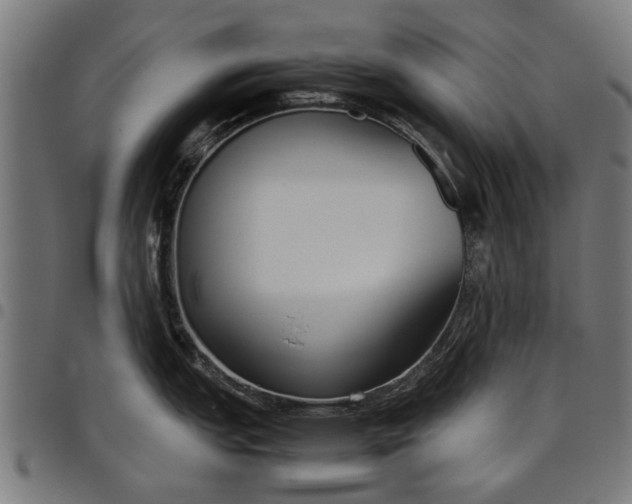 X0000097801151200803281029