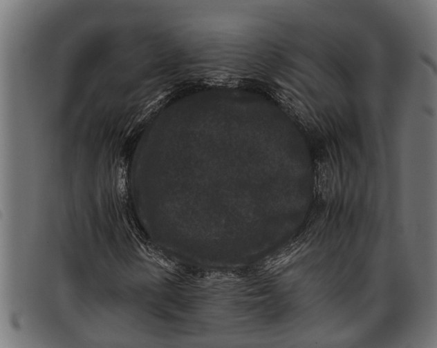 X0000097801154200803281028