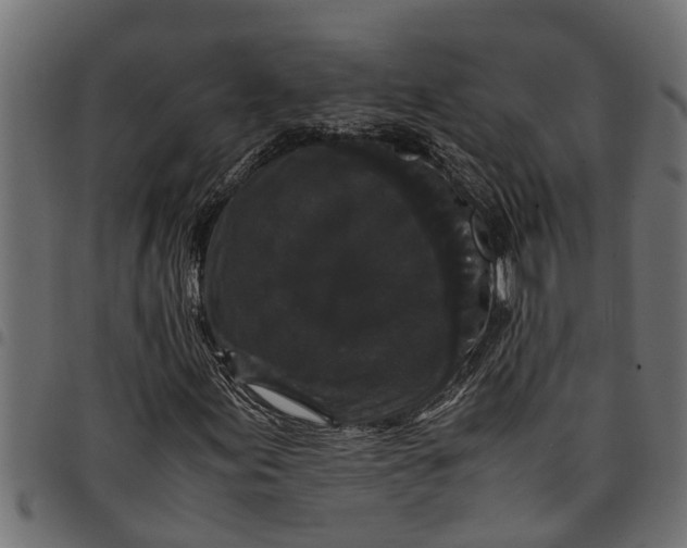 X0000097801155200803281028