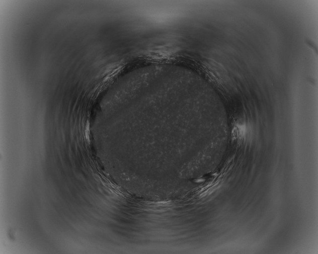 X0000097801156200803281028