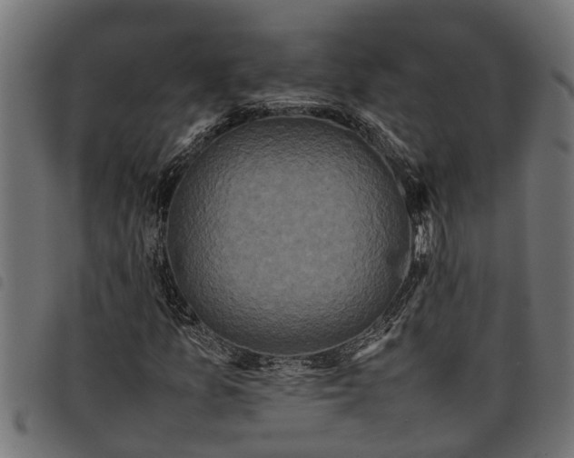 X0000097801157200803281028