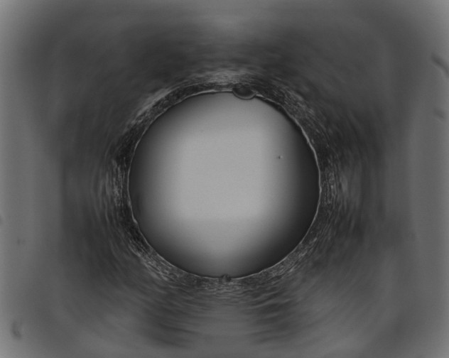 X0000097801158200803281028